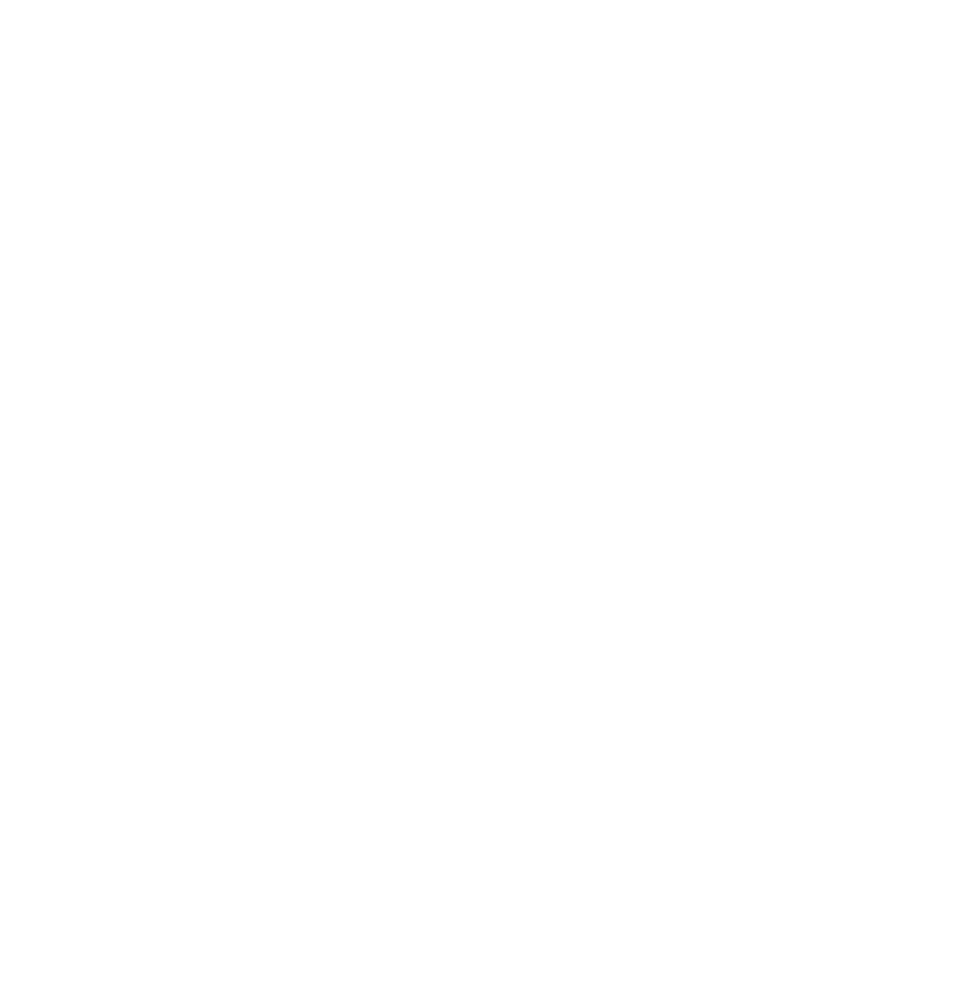 The Economy of Francesco